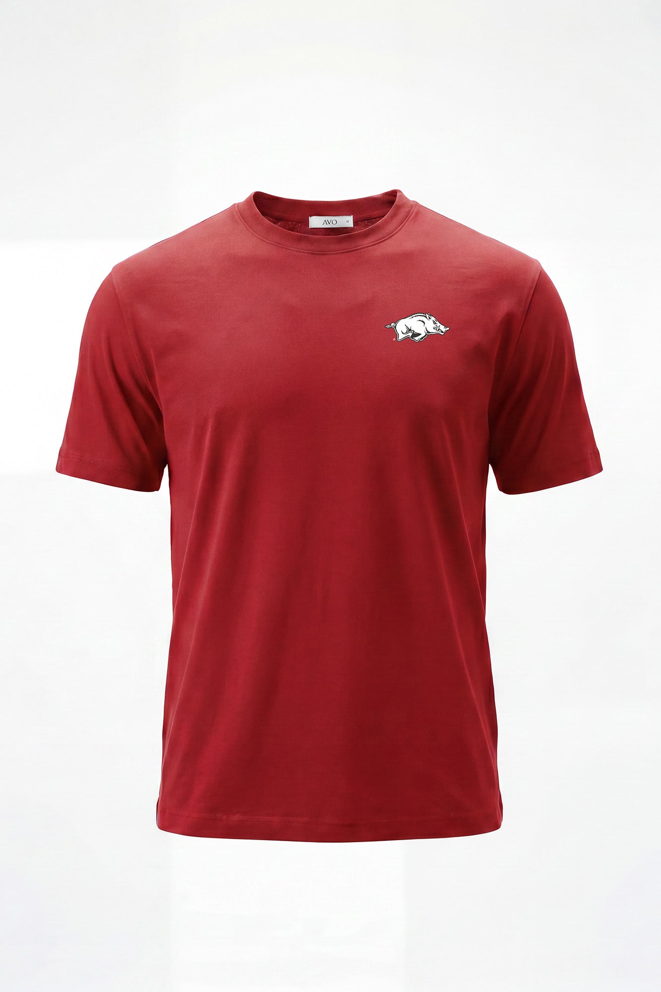 Arkansas Logo Flex Form Mens Tee